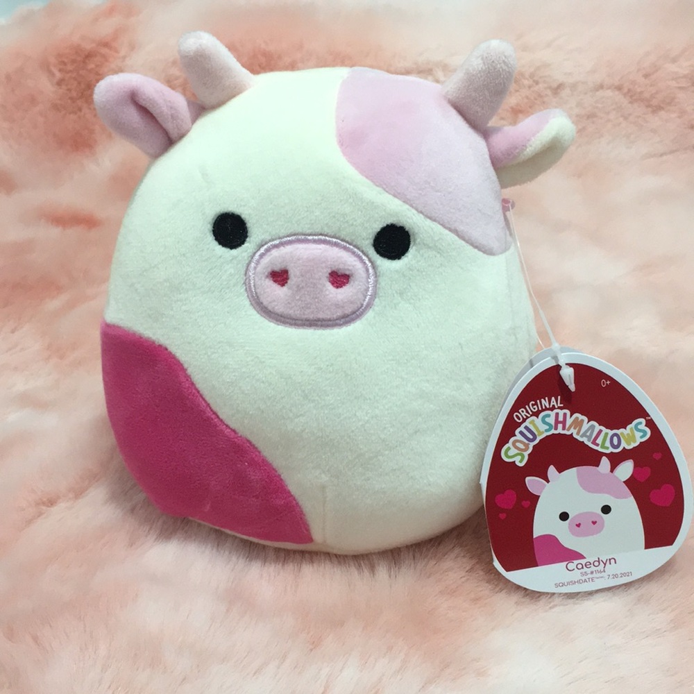 Caedyn 5” Valentine’s original squishmallows with heart nostrils